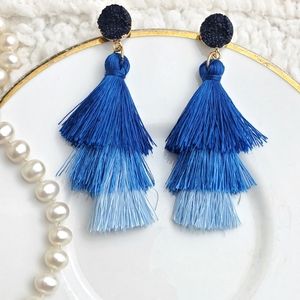 💫5/$25 Stunning Blue Tassel Earrings